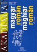 Borza Lucia; Bakos Ferenc - Magyar-román kisszótár - Maghiar - román dictionar