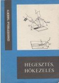 Gacs Zoltán - Hegesztés, hőkezelés