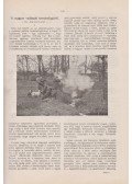 Parthay Géza (szerk.) - Zoologiai lapok 1913. [Egybekötve]