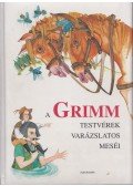 Grimm - A Grimm testvérek varázslatos meséi