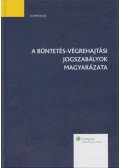 Gaál Irén,Müller Anikó - A büntetés-végrehajtási jogszabályok magyarázata