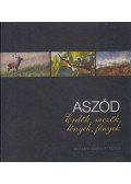 Novák Lászlóné (szerk.),Baranyi Norbert - Aszód ​– Erdők, mezők, lények, fények