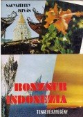 Nagyszékely István - Bonzsúr Indonézia