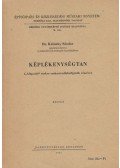Kaliszky Sándor - Képlékenységtan