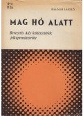 Balogh László - Mag hó alatt