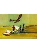 Bánfalvy Ákos - Svachulay Sándor monoplánjai: a Kolibri és az Albatrosz képeslap