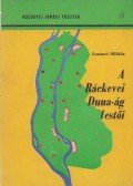 Losonci Miklós - A Ráckevei Duna-ág festői
