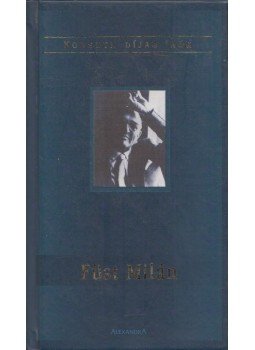 Schein Gábor - Füst Milán Schein Gábor - Füst Milán, Pécs 0 antikvár könyv