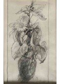 Georges Braque - Csendélet