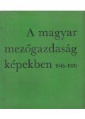 Horváth Sándor,Illés Tibor - A magyar mezőgazdaság képekben 1945-1970