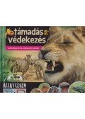 Bagoly Ilona - Támadás és védekezés