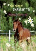 Nele Neuhaus - Charlotte 6. - Tűzön-vízen át