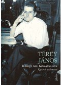 Térey János - Boldogh-ház, Kétmalom utca