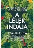 Daniel Pinchback,Sophia Rokhlin - A lélek indája