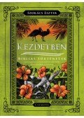 Szokács Eszter - Kezdetben - Bibliai történetek
