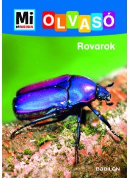 Christina Braun - Rovarok - Mi Micsoda Olvasó Christina Braun - Rovarok - Mi Micsoda Olvasó, null 2020 antikvár könyv