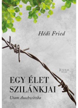 Hédi Fried - Egy élet szilánkjai - Utam Auschwitzba, null 2020 antikvár könyv
