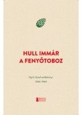Medvigy Endre (szerk.) - Hull immár a fenyőtoboz - Nyirő József emlékkönyv 1924-1944
