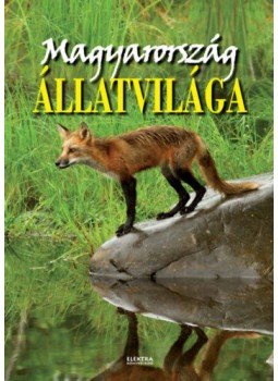 Bernáth István - Magyarország állatvilága Bernáth István - Magyarország állatvilága, null 2020 antikvár könyv