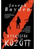 Joseph Boyden - A fenyőfák között