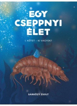 Sárközy Zsolt - Egy cseppnyi élet - I. kötet - Ki vagyok?, null 2020 antikvár könyv