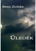 Bene Zoltán - Üledék - NEMzedékregény - NEMzedékregény
