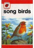 John Leigh-Pemberton - Song Birds