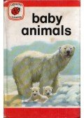 John Leigh-Pemberton - Baby Animals