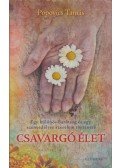 Popovics Tamás - Csavargó élet