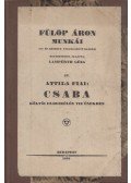 Fülöp Áron - Attila fiai III. - Csaba