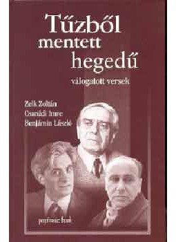 Alföldy Jenő - Tűzből mentett hegedű - Válogatott versek Alföldy Jenő - Tűzből mentett hegedű - Válogatott versek, 2004 antikvár könyv