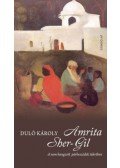 Duló Károly - Amrita Sher-Gil - El nem hangzott párbeszédek tükrében