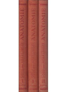 Hermann Voss, Robert Herrlinger - Taschenbuch der Anatomie I-III. Hermann Voss, Robert Herrlinger - Taschenbuch der Anatomie I-III., Jena 1957 antikvár könyv