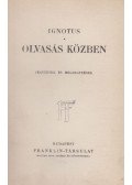 Ignotus - Olvasás közben