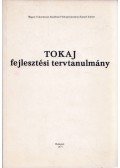 Berényi István - Tokaj fejlesztési tervtanulmány
