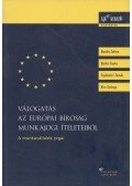 Bankó Zoltán,Berke Gyula,Gyulavári Tamás,Kiss György - Válogatás az Európai Bíróság munkajogi ítéleteiből