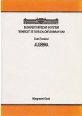 Csató Tamásné - Algebra