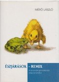 Mérő László - Észjárások-remix