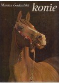 Marian Gadzalski - Konie