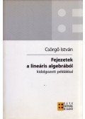 Csörgő István - Fejezetek a lineáris algebrából kidolgozott példákkal