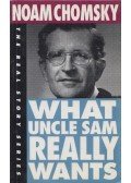 Noam Chomsky - What uncle Sam really wants