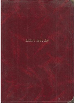 Villám Judit - Augusztus 20. Beszédírási háttéranyag Villám Judit - Augusztus 20. Beszédírási háttéranyag, Budapest 2008 antikvár könyv