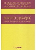 Dr. Tóth Mihály,Bánáti János Dr.,Belovics Ervin dr.,Csák Zsolt dr.,Sinku Pál dr.,Dr. Varga Zoltán - Büntető eljárásjog
