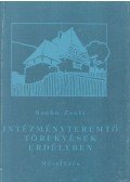 Szabó Zsolt - Intézményteremtő törekvések Erdélyben a 20. század első felében