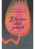 Bergsveinn Birgisson - Elevenélet-patak