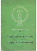 Jókai Mór,Móra Ferenc,Szíjgyártó László - Földönjáró csillagok/ Csirigán Úr szomszédjai