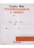Csorba Béla - Tücsökmadarak a hóban