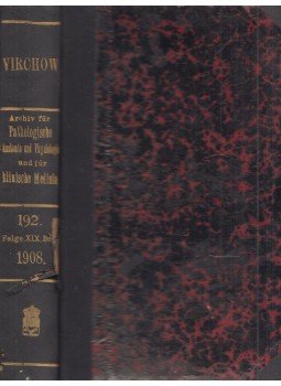 Johannes Orth - Virchows Archiv für Pathologische Anatomie und Physiologie und für Klinische Medizin, Berlin 1908 antikvár könyv