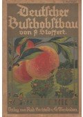 F. Stoffert - Deutscher Buschobstbaum
