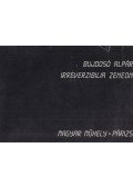 Bujdosó Alpár - Irreverzibilia zeneon